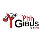 logo Ptit Gibus FM