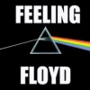 Feeling Floyd Rock