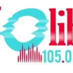 logo Joliba 105 FM