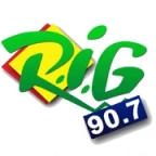 logo RIG