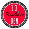 313 DBN Radio