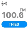 Thies FM