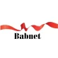 Radio Babnet
