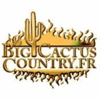 logo Big Cactus Country