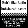 Bobs SKA Radio