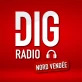 Dig Radio Nord Vendée