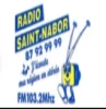 Radio Saint Nabor